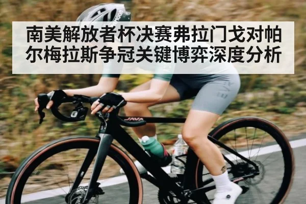 南美解放者杯决赛弗拉门戈对帕尔梅拉斯争冠关键博弈深度分析